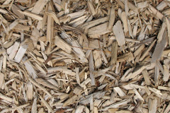 biomass boilers Rhyd Y Gwystl